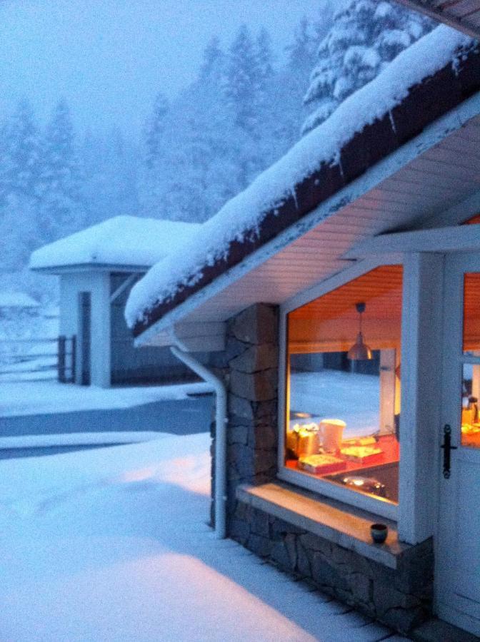 Le Chalet Blanc - Jacuzzi / Piscine / Sauna Gérardmer Eksteriør bilde